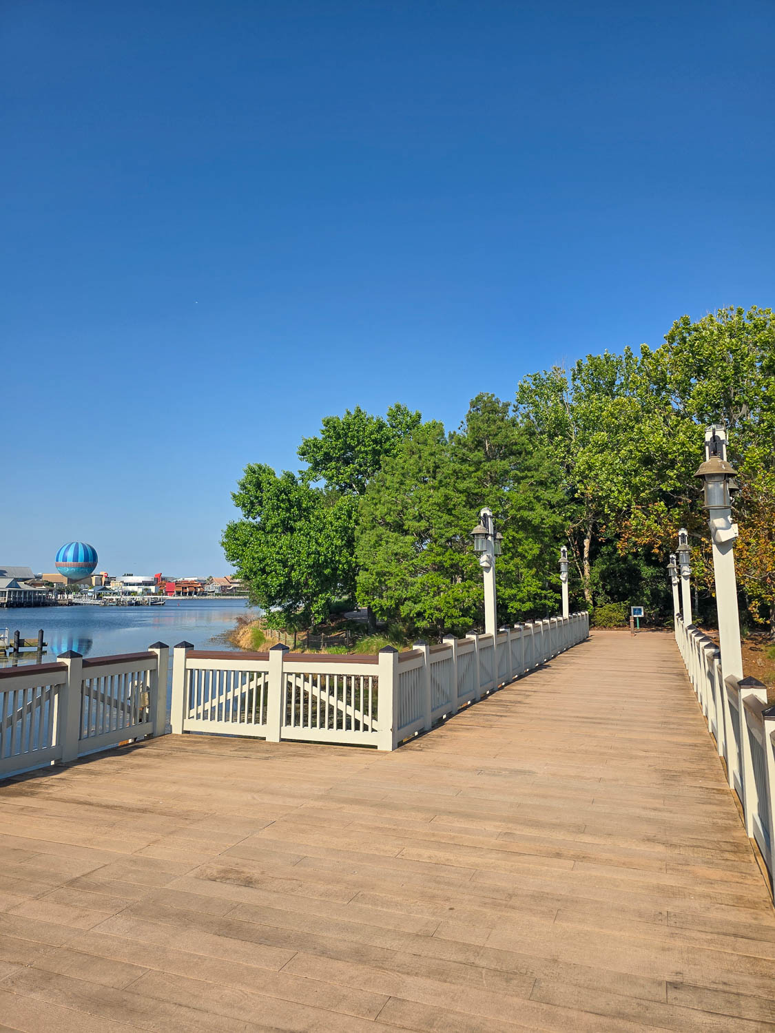 Pedestrian bridge connecting Saratoga Springs Resort to Disney Springs