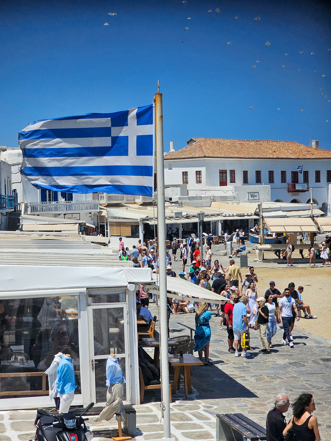 Main port of Mykonos near Mykonos Town (Mykonos, Greece)