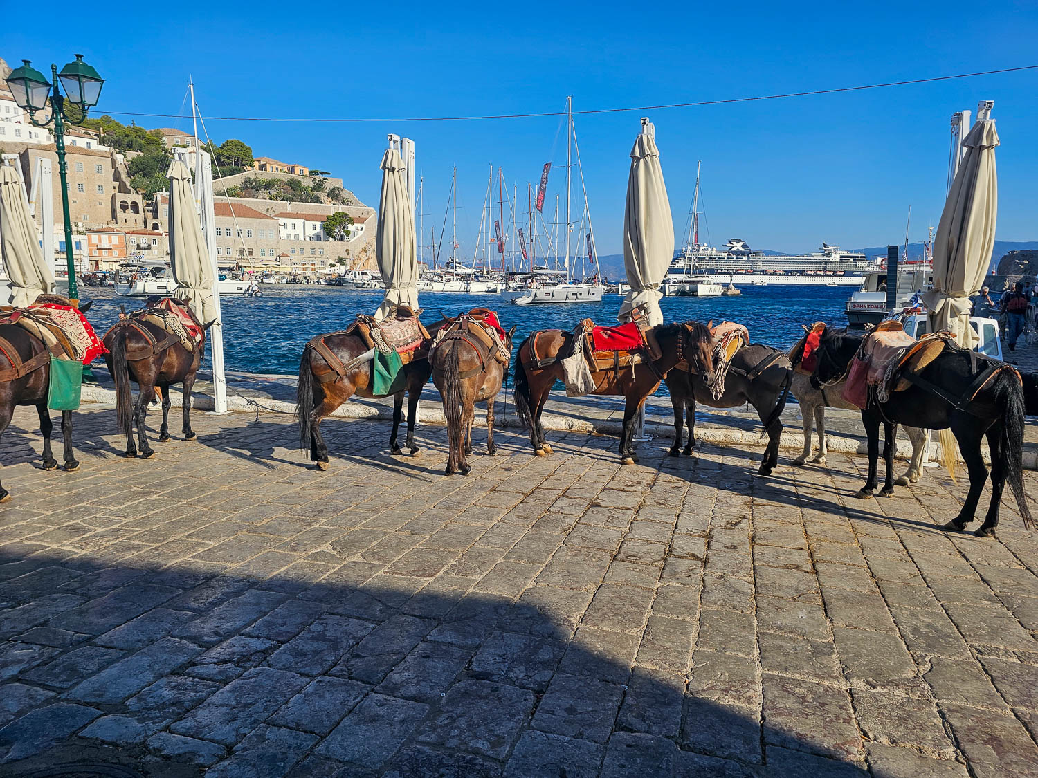 Donkeys are a popular way to get around car-free Hydra!