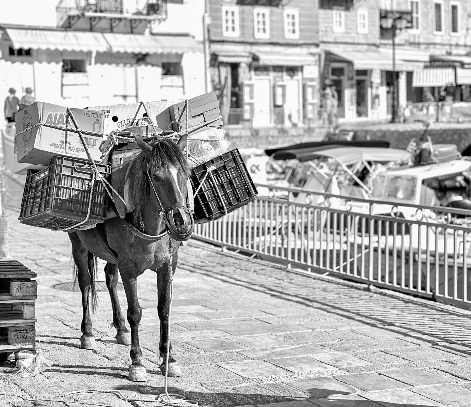 Donkeys play an important role in daily life on the island Hydra Town, Greece