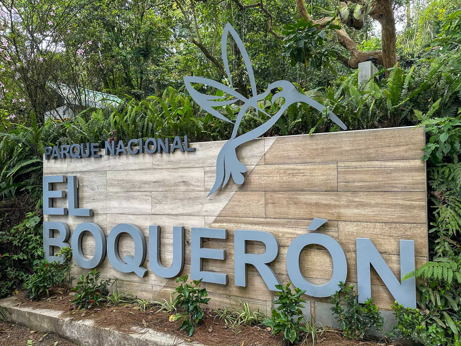 El Salvador Travel Tips: What to Know Before You Go 13 El Boquerón National Park El Salvador