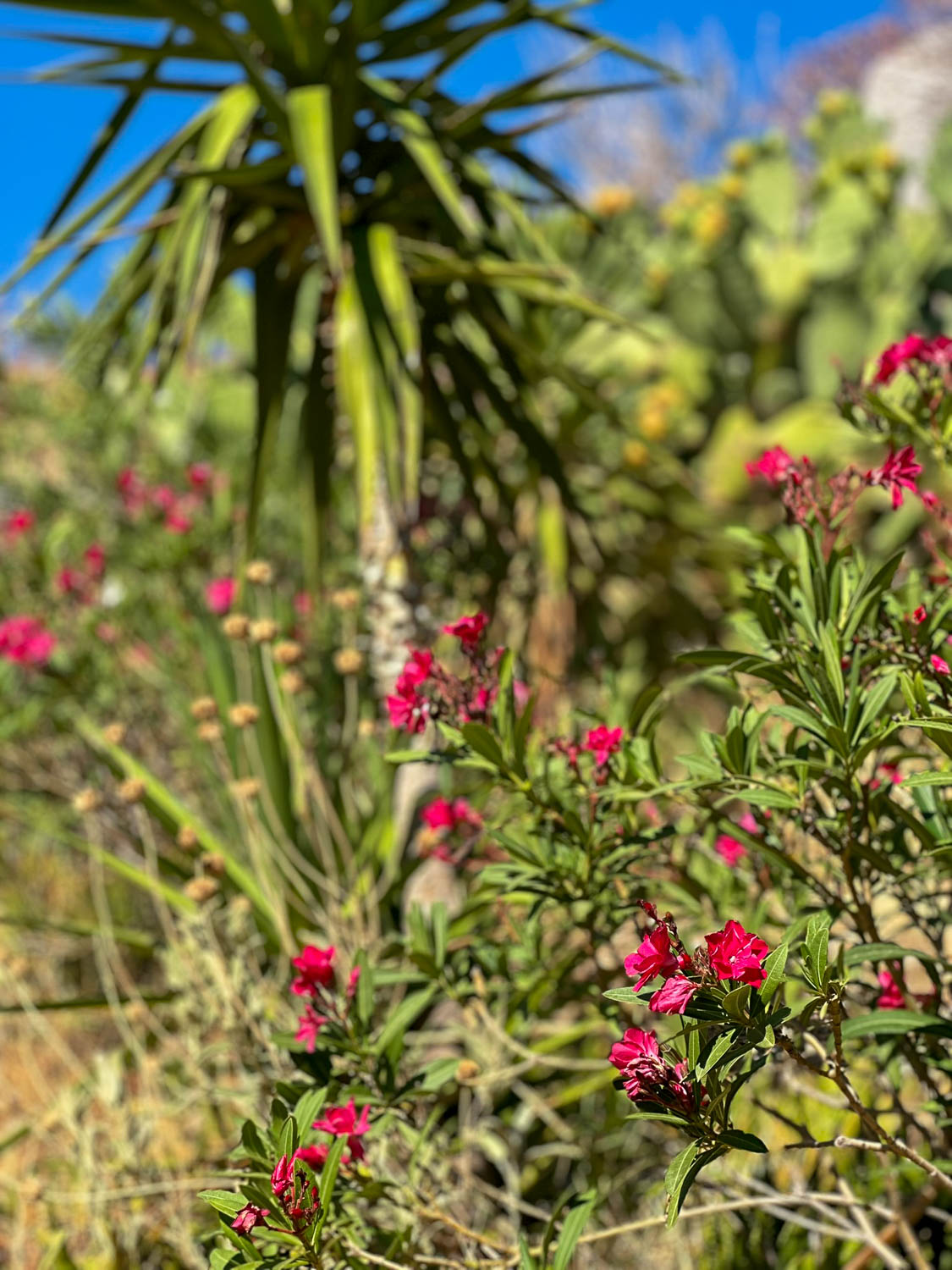 The hike out to Limnioniza Beach Hydra, Greece