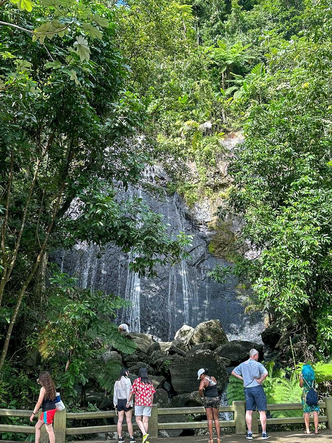 La Coca Falls along rainforest road in El Yunque, Puerto Rico