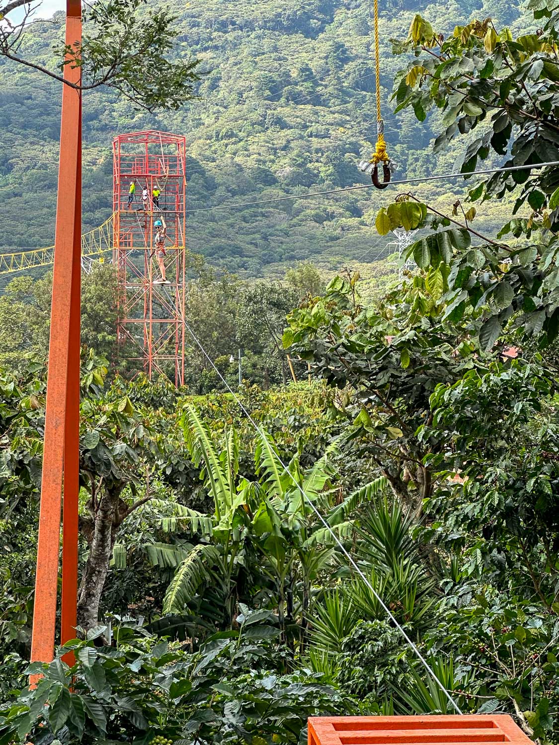 Lush green landscape, Cafe Albania El Salvador