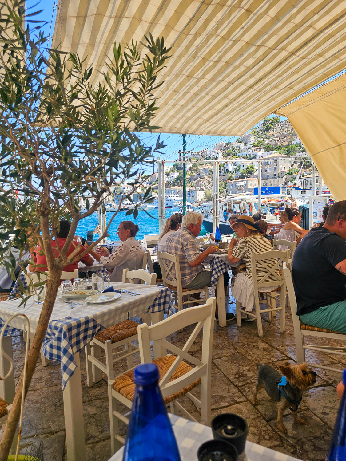 Dining at Piato Restaurant Hydra Town, Greece