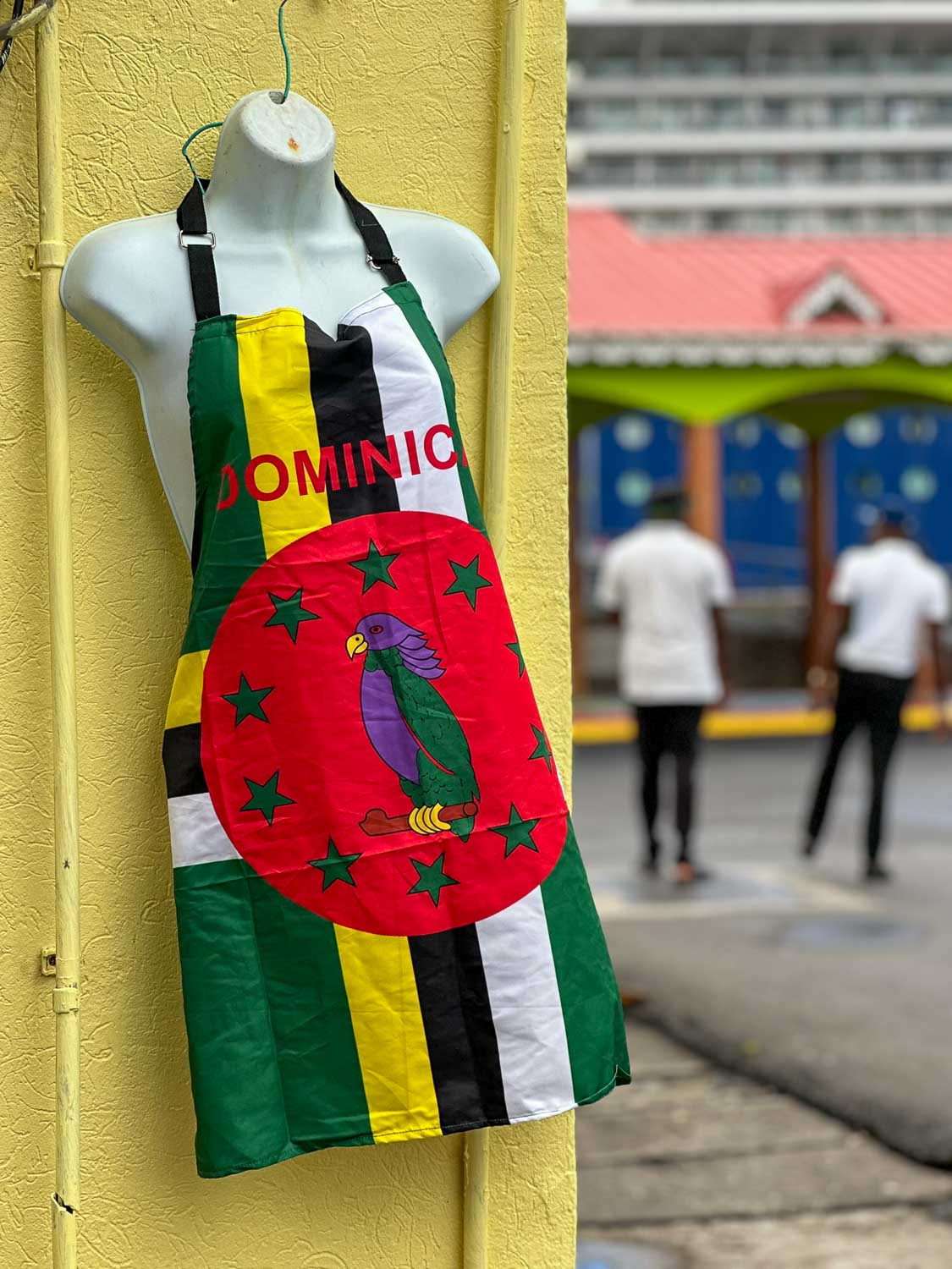 Sisserou Parrot, Dominica’s national bird