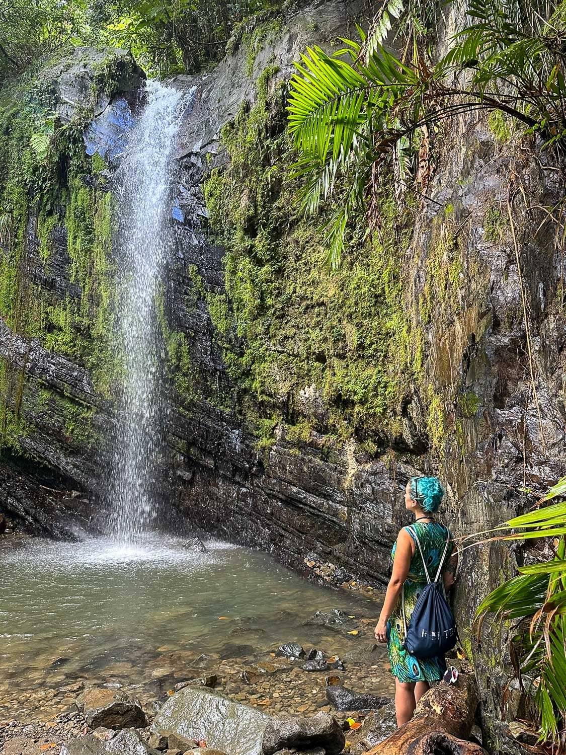 Juan Diego Upper Falls cascading into a natural pool (El Yunque National Forest, Puerto Rico)