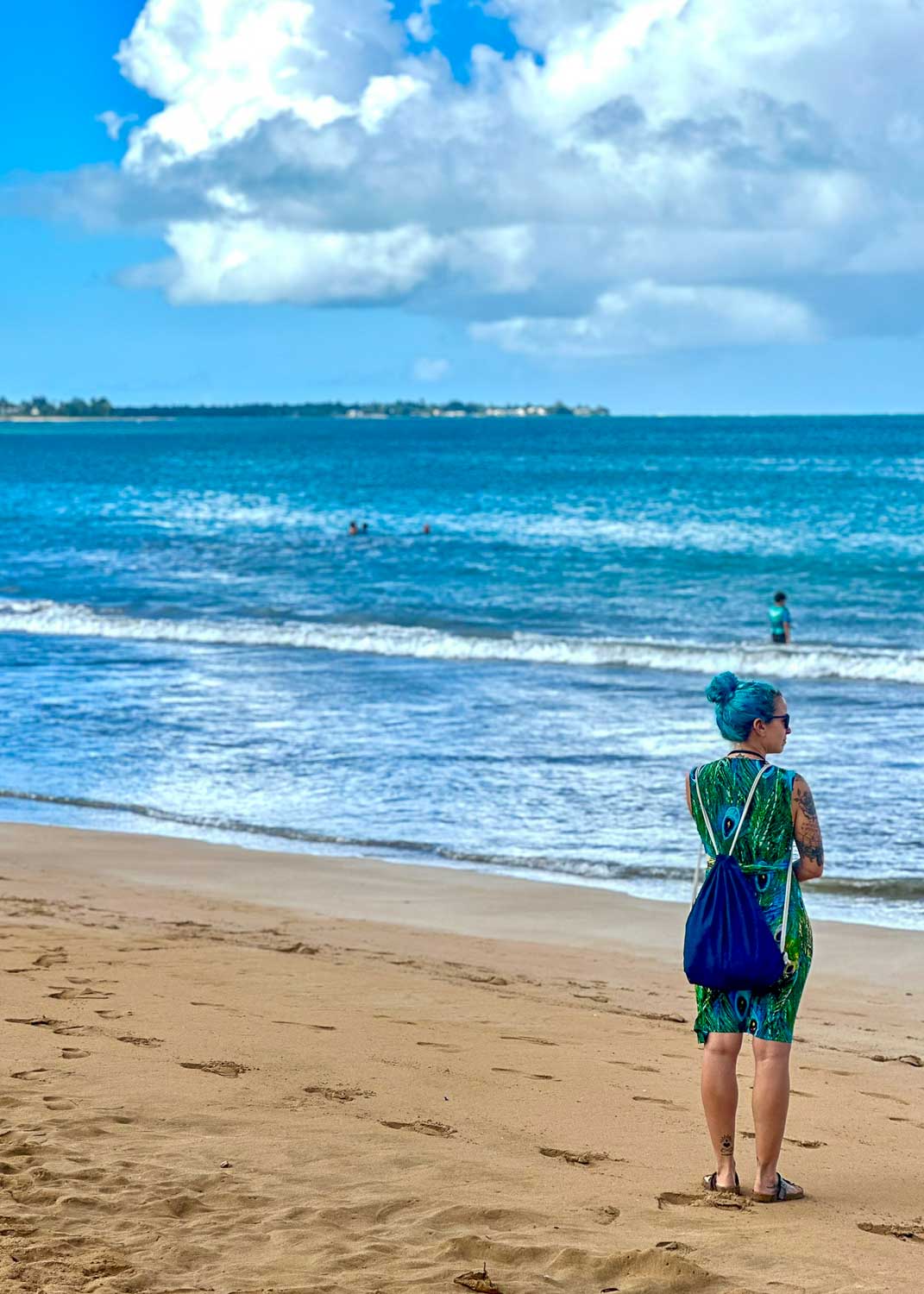 Luquillo Beach with palm-lined shoreline and calm Caribbean water in Puerto Rico.
