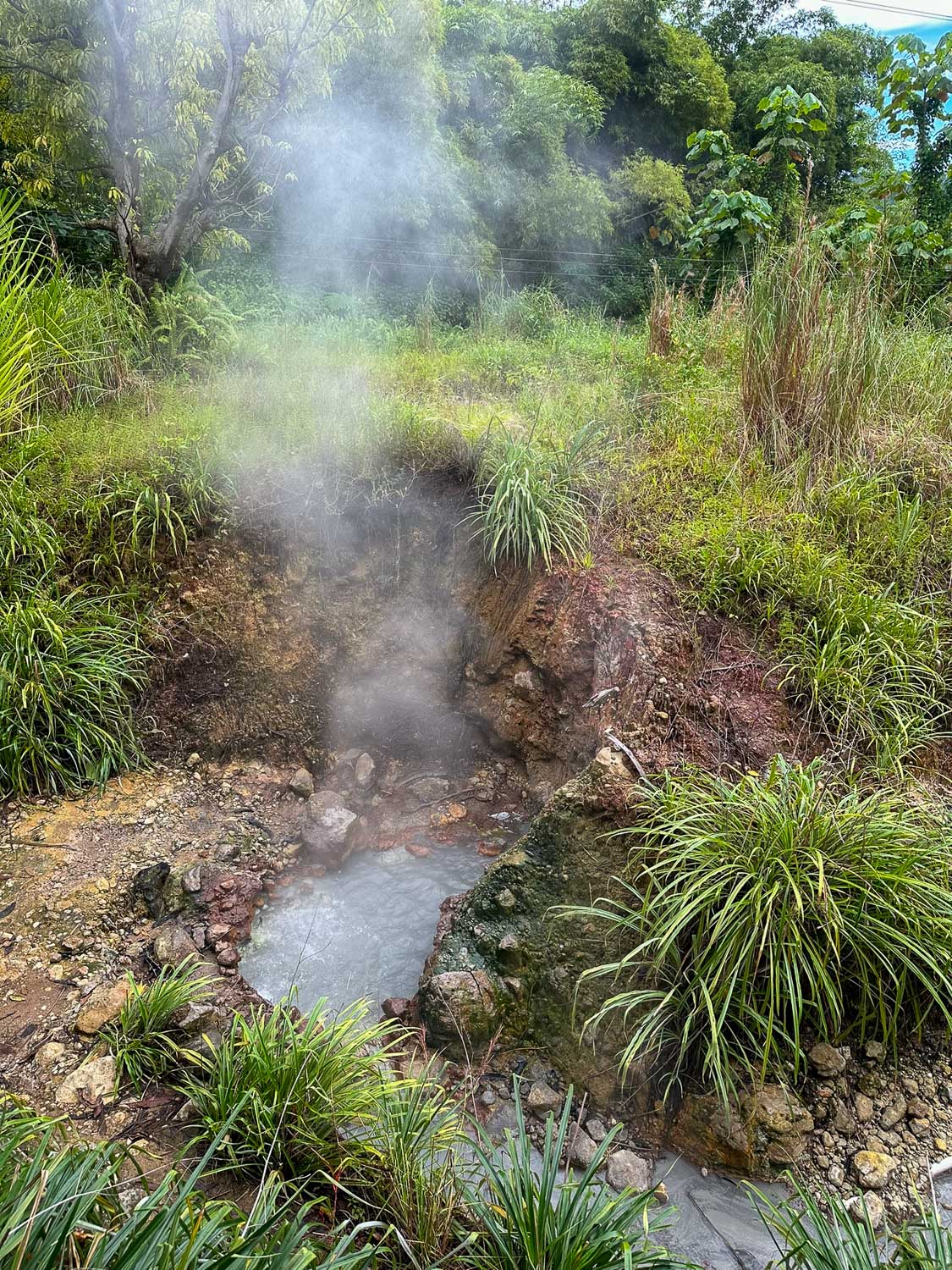 Natural sulphur hot springs formed by geothermal activity in Morne Trois Pitons National Park, Dominica