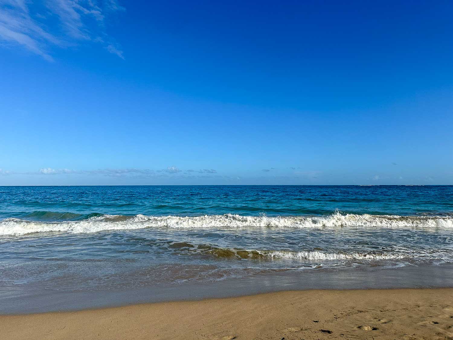 Playa Ocean Park beach with wide sandy shore and palm trees in San Juan, Puerto Rico.
