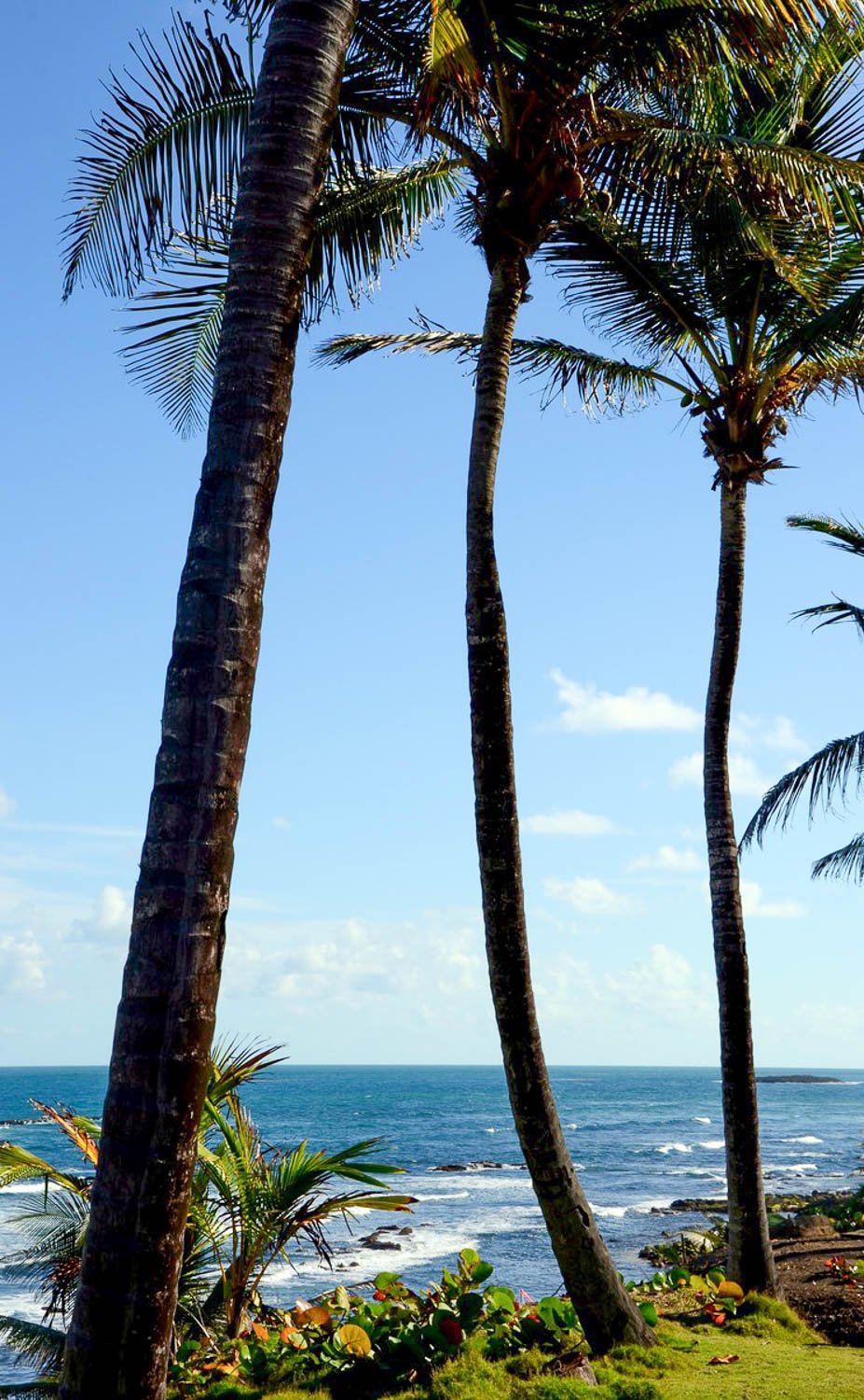 White-sand beach and turquoise water near San Juan (Puerto Rico)
