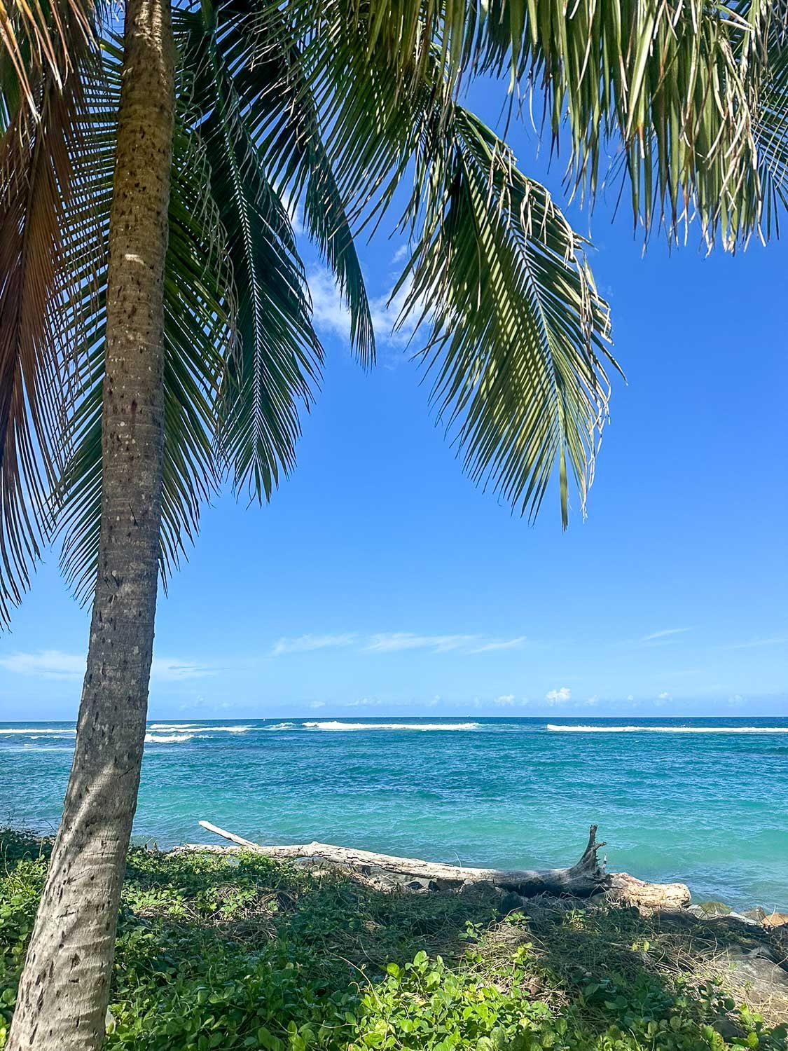 Rocky coastline and blue water along San Juan’s shoreline (Puerto Rico)