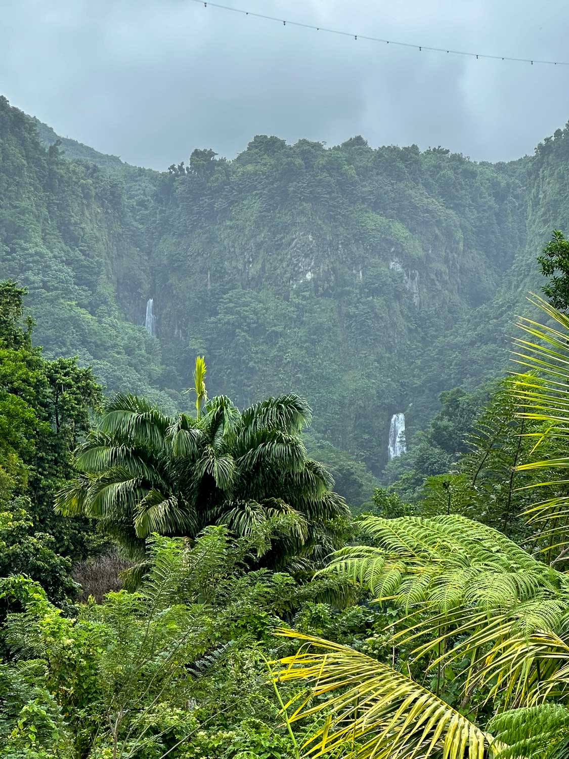 Distant view of the twin Trafalgar Falls surrounded by lush vegetation in Dominica