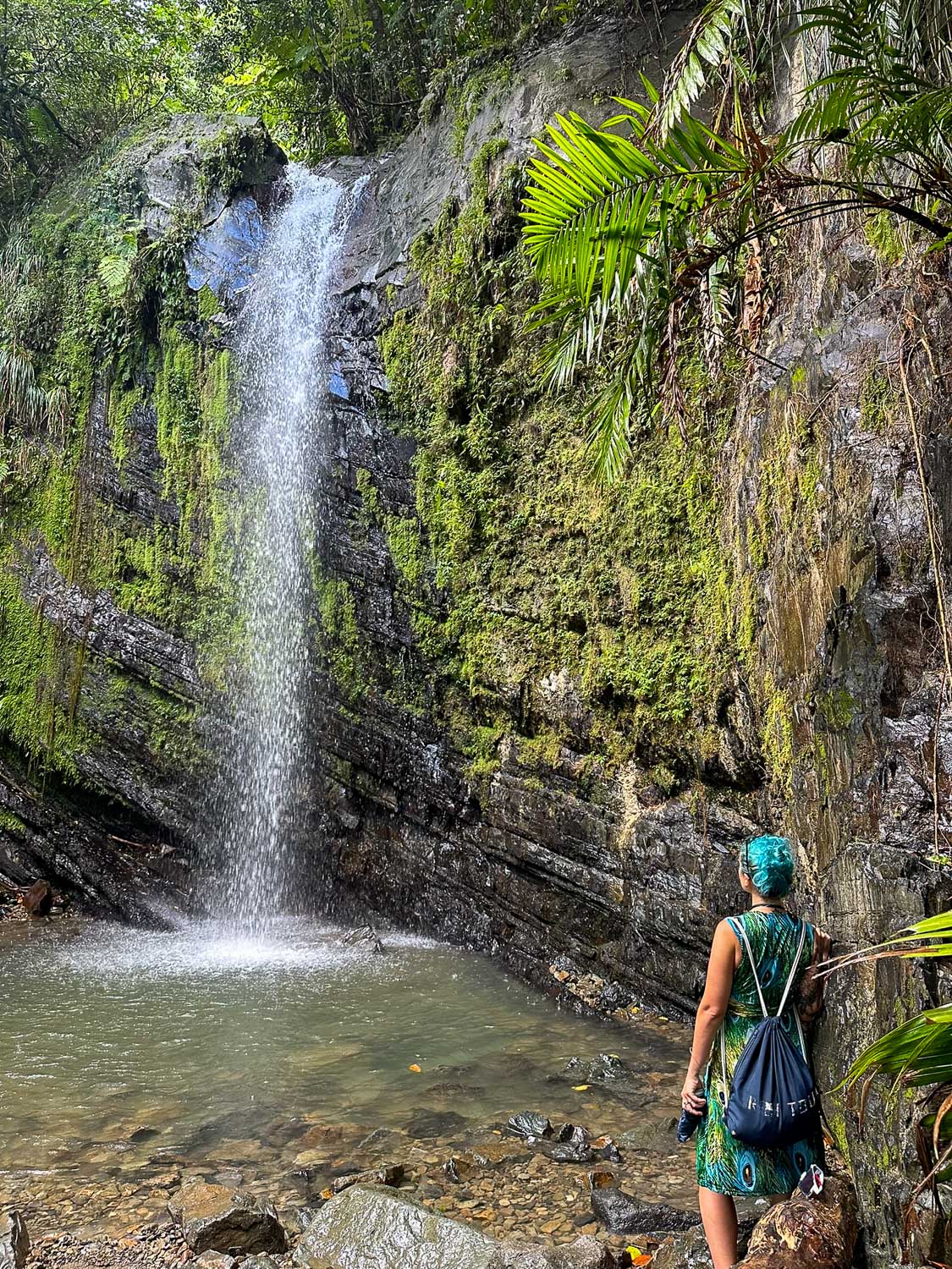 Juan Diego Upper Falls in El Yunque National Forest (Puerto Rico)