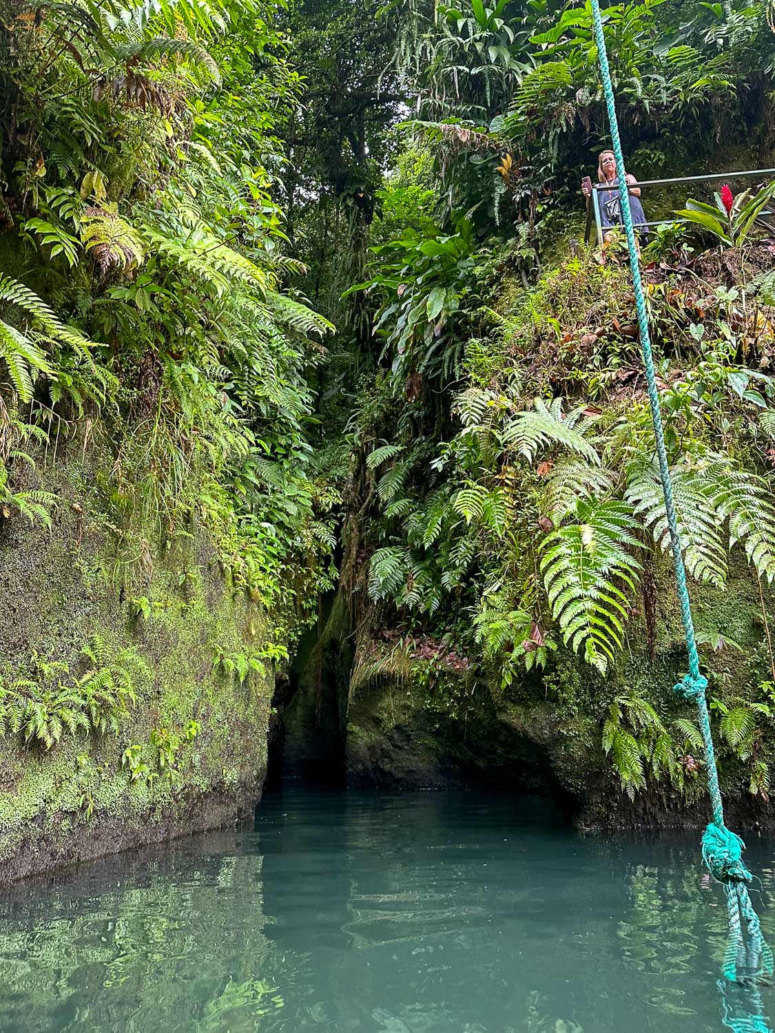 Pathway entrance leading to Titou Gorge in Dominica