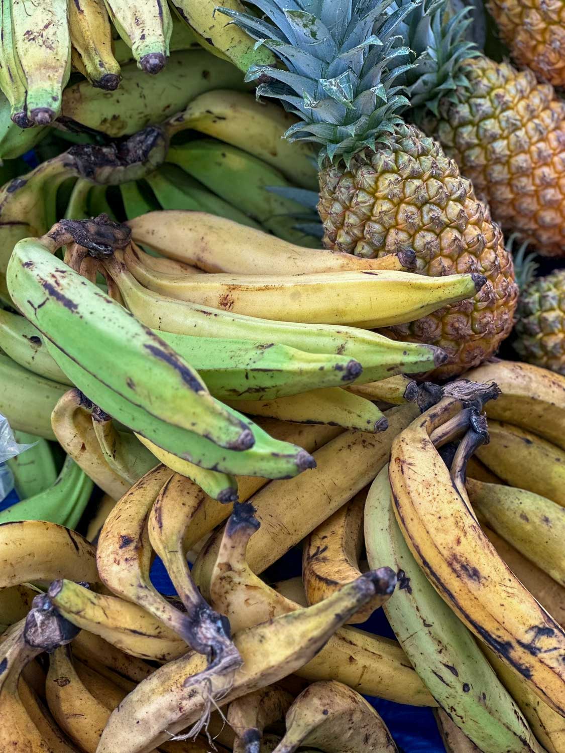 Roseau, Dominica: Your Guide to This Vibrant Capital City 13 Local vendors selling fresh fruits and produce at Old Market Square in Roseau