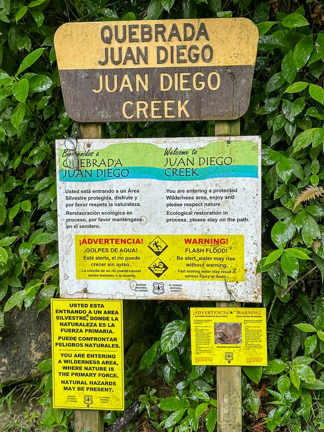 Trail safety warning signage in El Yunque National Forest (Puerto Rico)