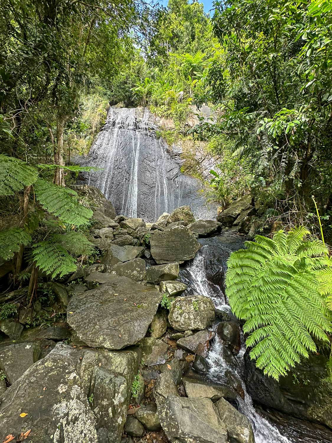 La Coca Falls (El Yunque National Forest)