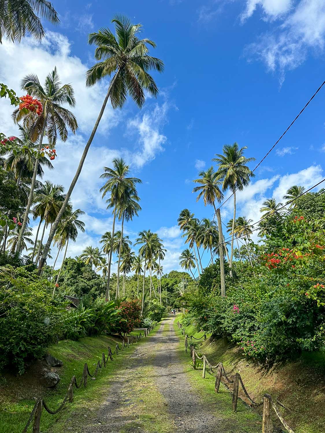 Morne Coubaril Estate St. Lucia