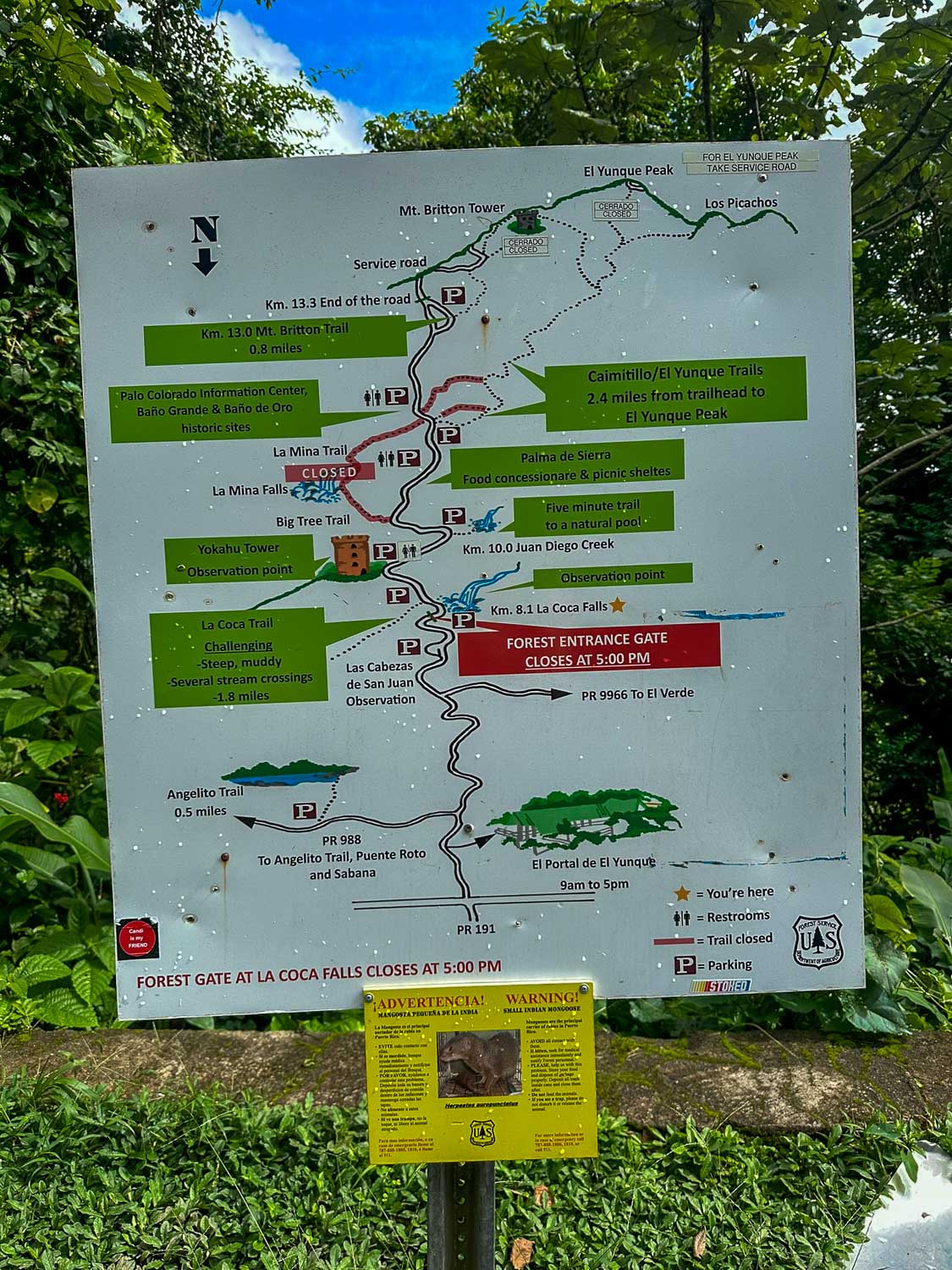 Overview map of hiking trails in El Yunque National Forest (Puerto Rico)