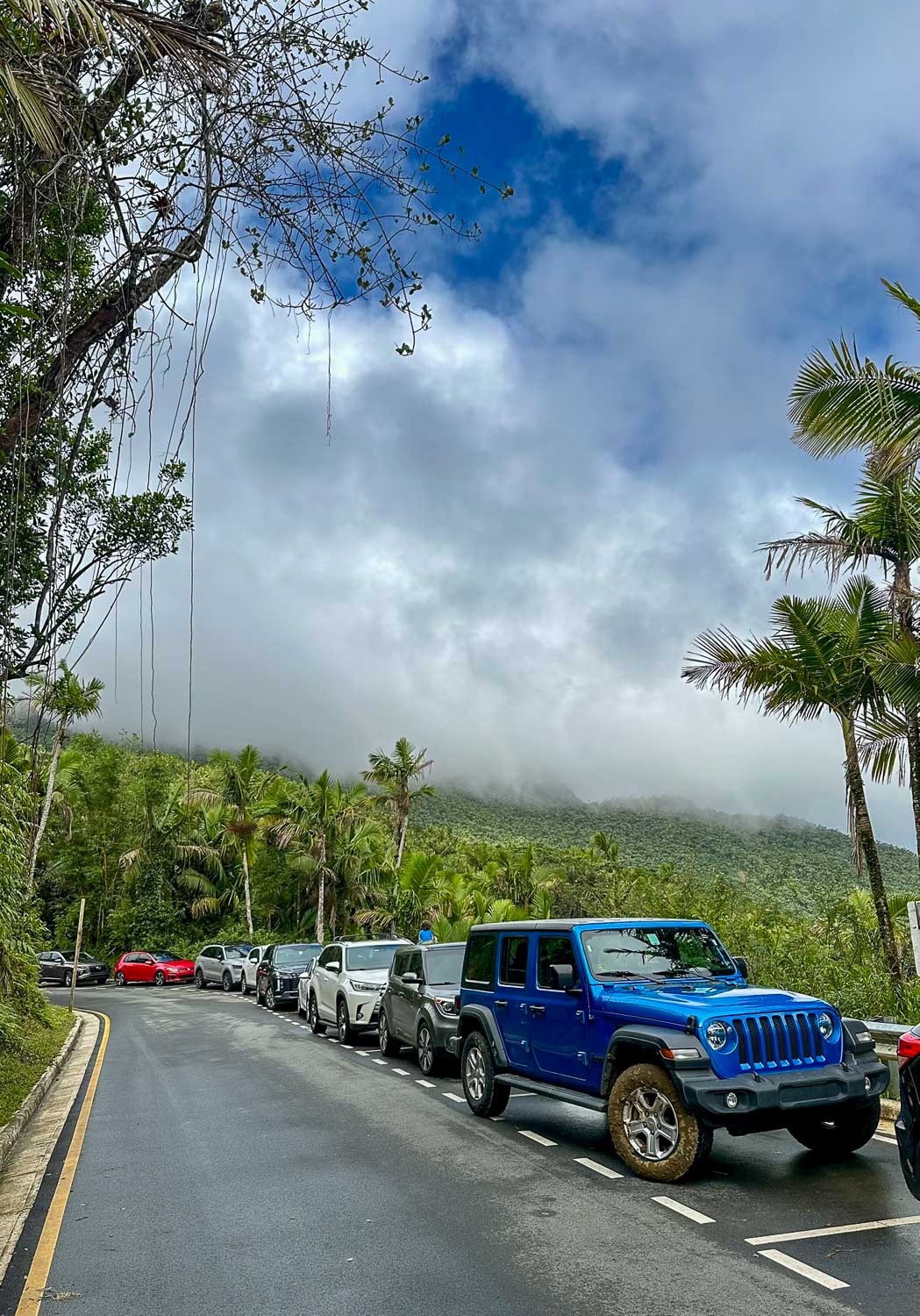Parking can get crowded in El Yunque National Forest (Puerto Rico)