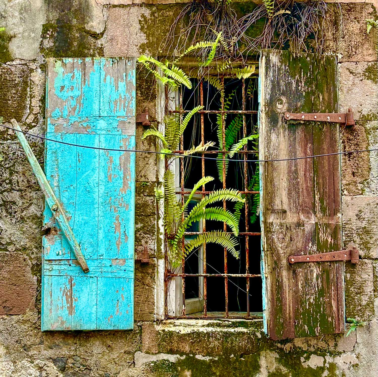 Old-world colonial architecture and colorful streets in Roseau, Dominica’s capital city