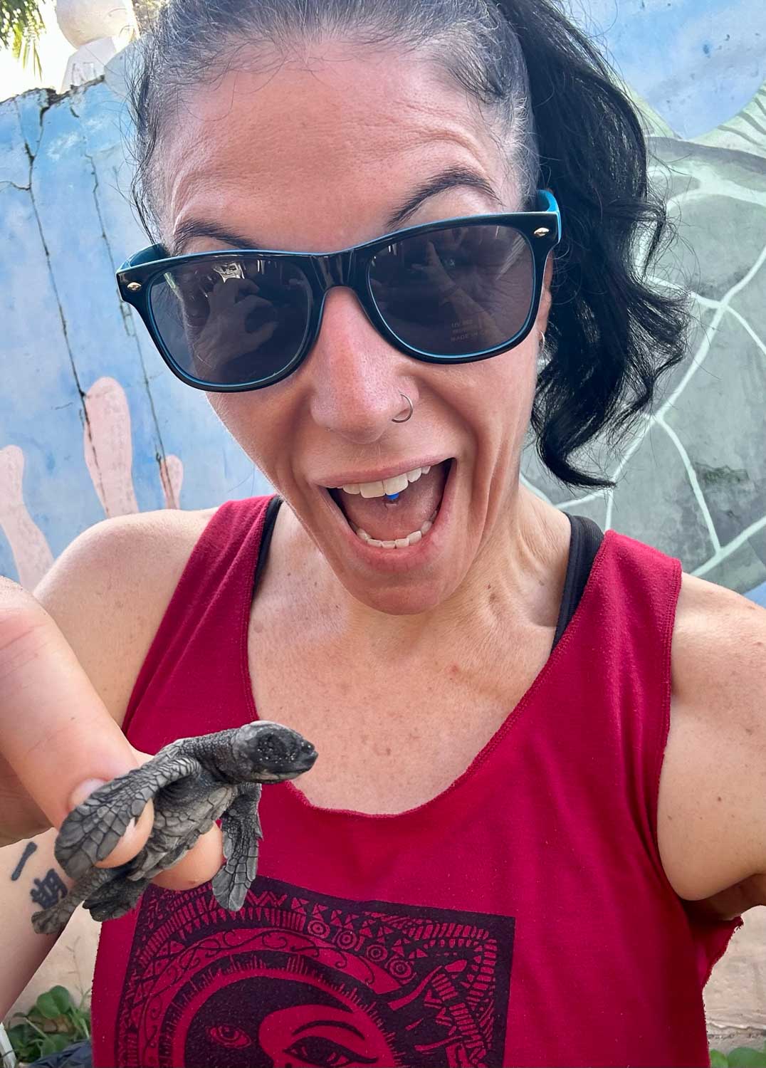 Sea Turtle Release El Salvador: A Heartfelt Adventure 2 Newly hatched and ready to be released Playa San Blas, El Salvador