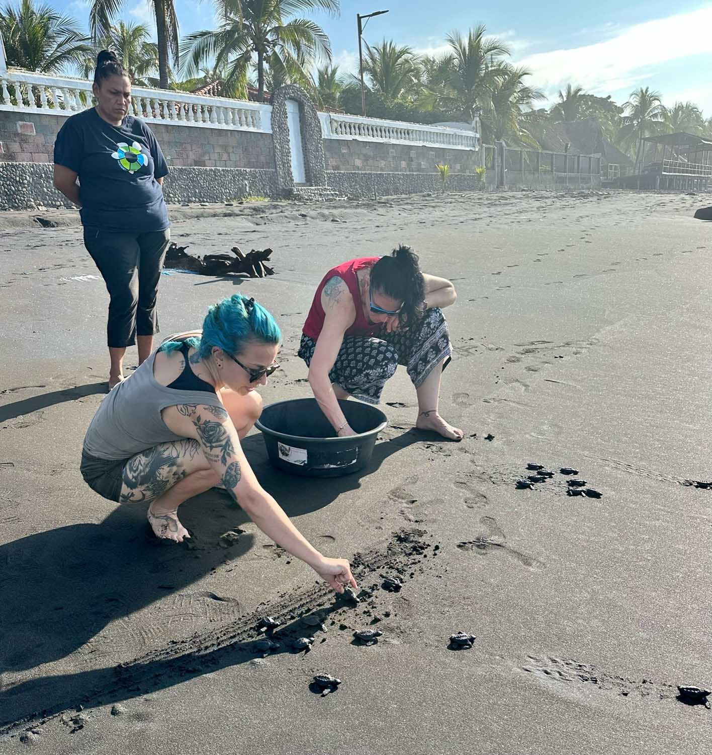Sea turtle release Playa San Blas, El Salvador