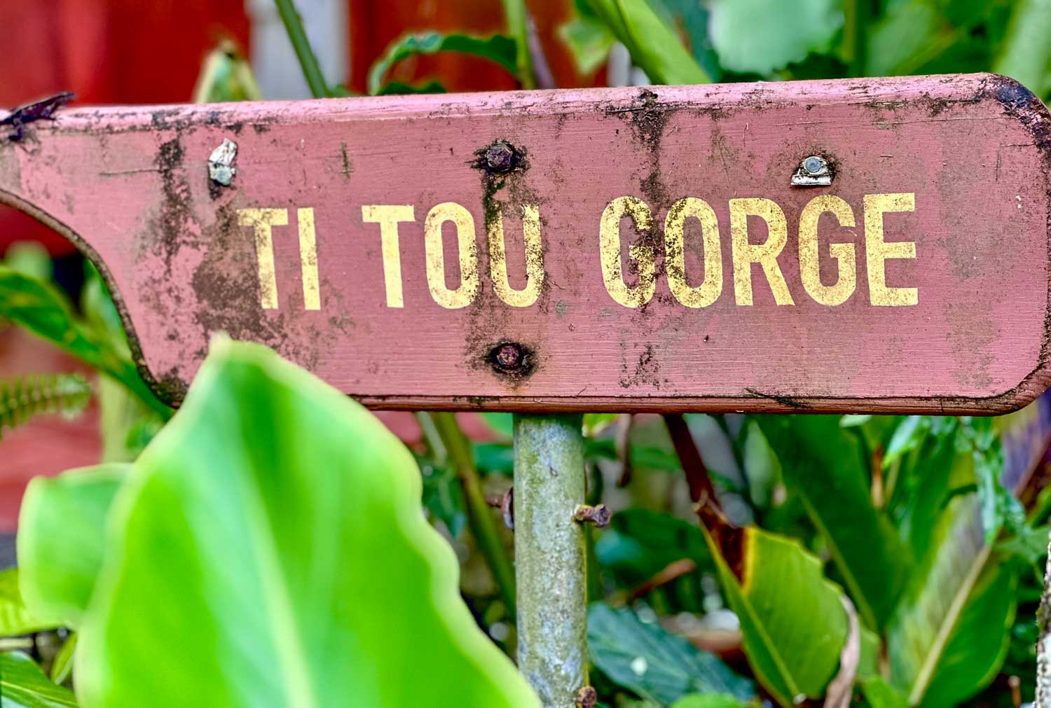 Entrance to Titou Gorge in Dominica within Morne Trois Pitons National Park