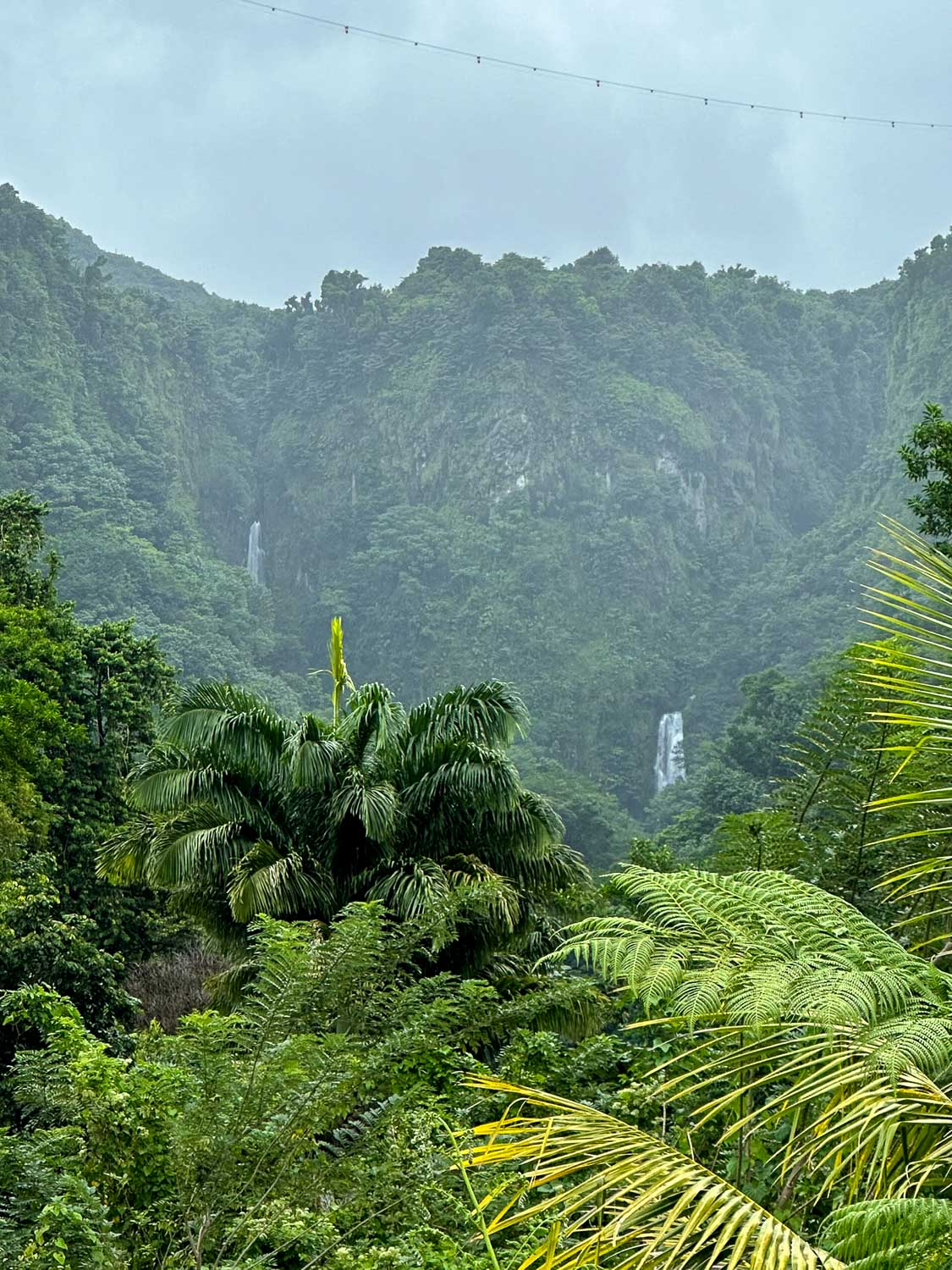 Trafalgar Falls, Morne Trois Pitons National Park Dominica