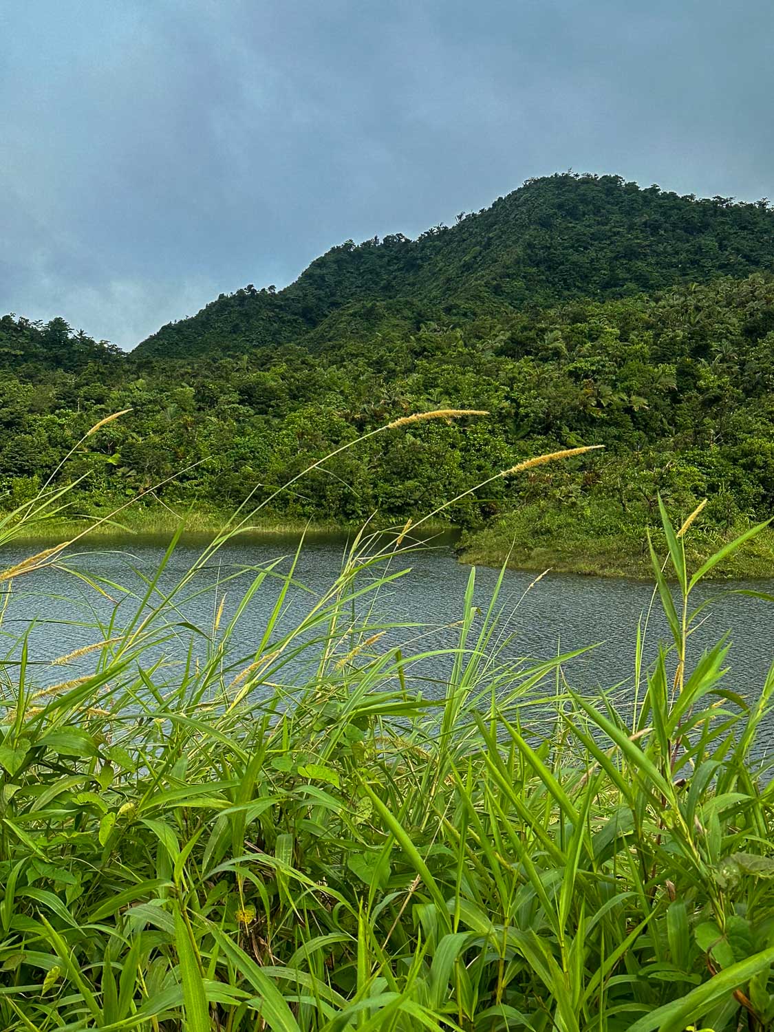 The wild landscape of the Nature Island Dominica