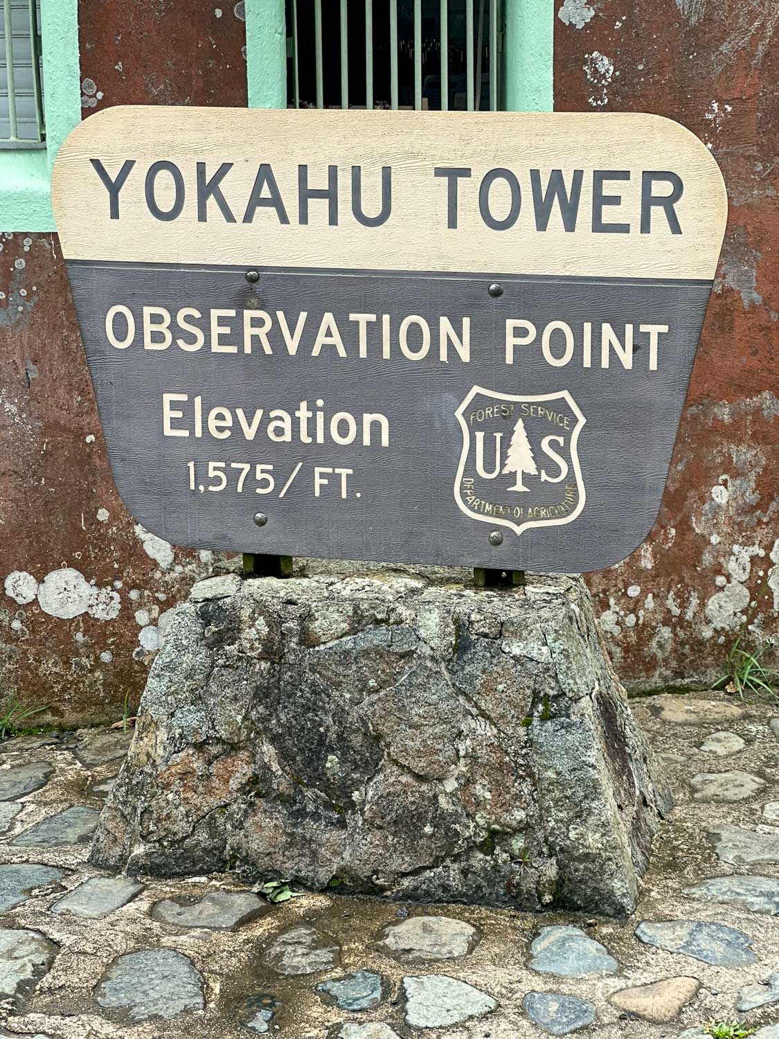 Yokahú Observation Tower El Yunque National Forest (Puerto Rico)