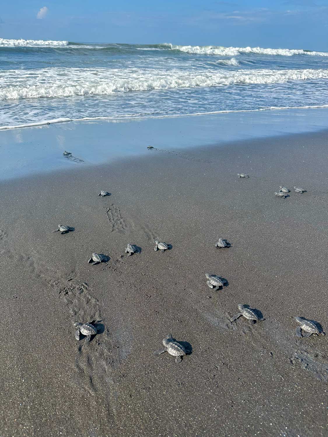 El Salvador Hidden Gems: Off The Beaten Path Adventures 4 El Salvador Hidden Gems