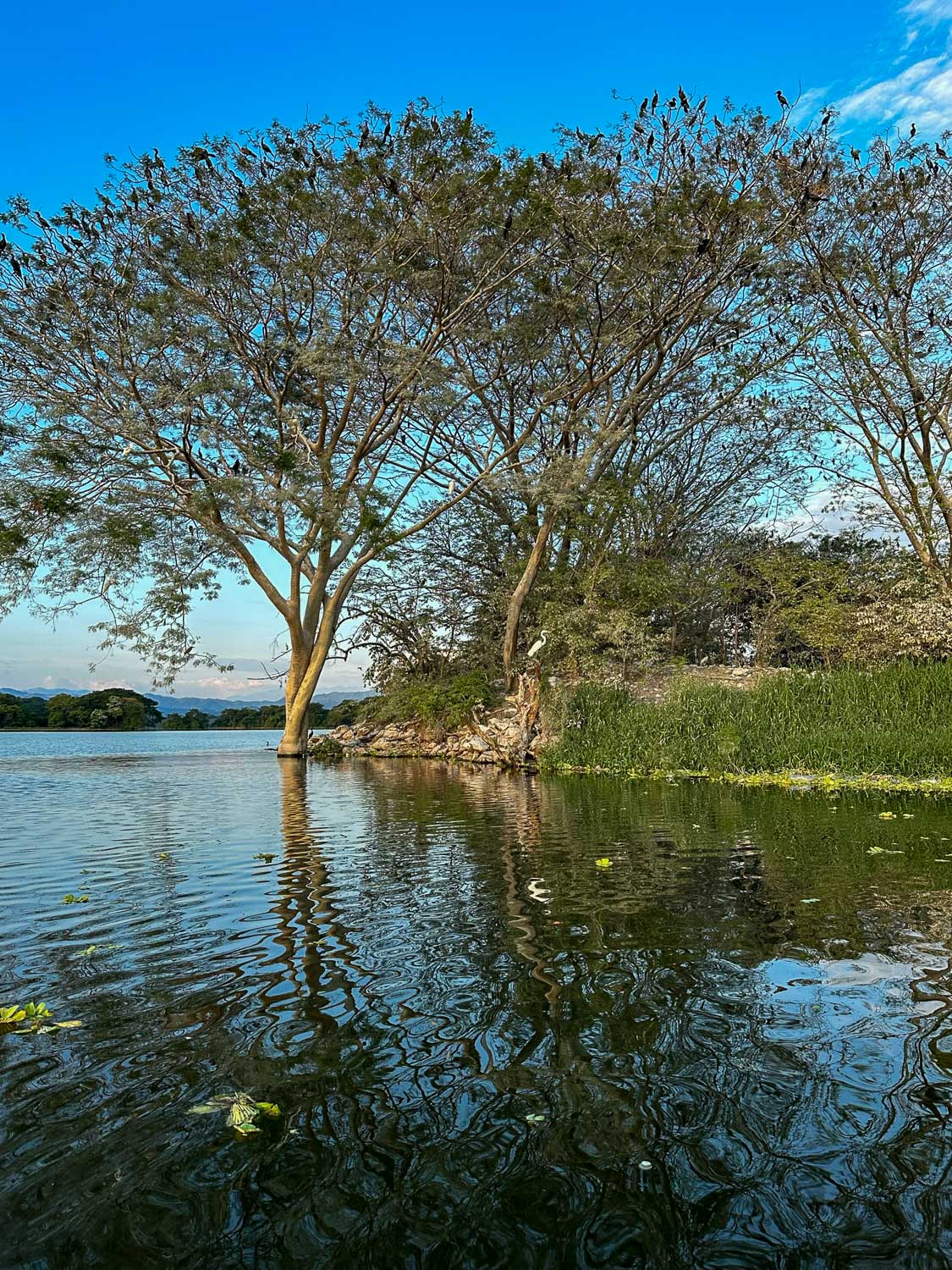 Lago Suchitlán El Salvador