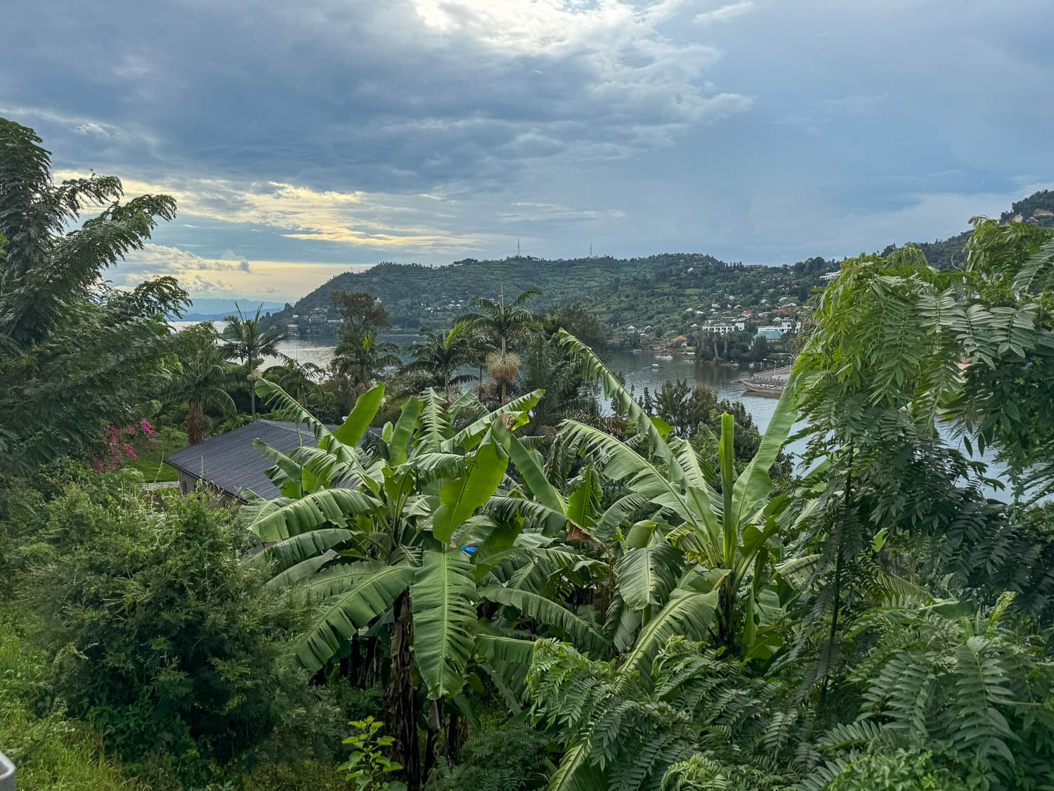 Lake Kivu, Rwanda: Top Things To Do and Travel Guide 6 The lush green of Lake Kivu