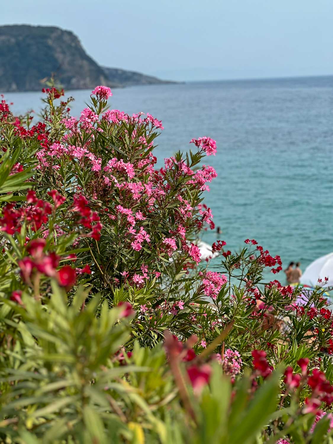 Himare, Albania: A Guide to the Best Things To Do 10 Stunning views of the Albanian coast Himare, Albania