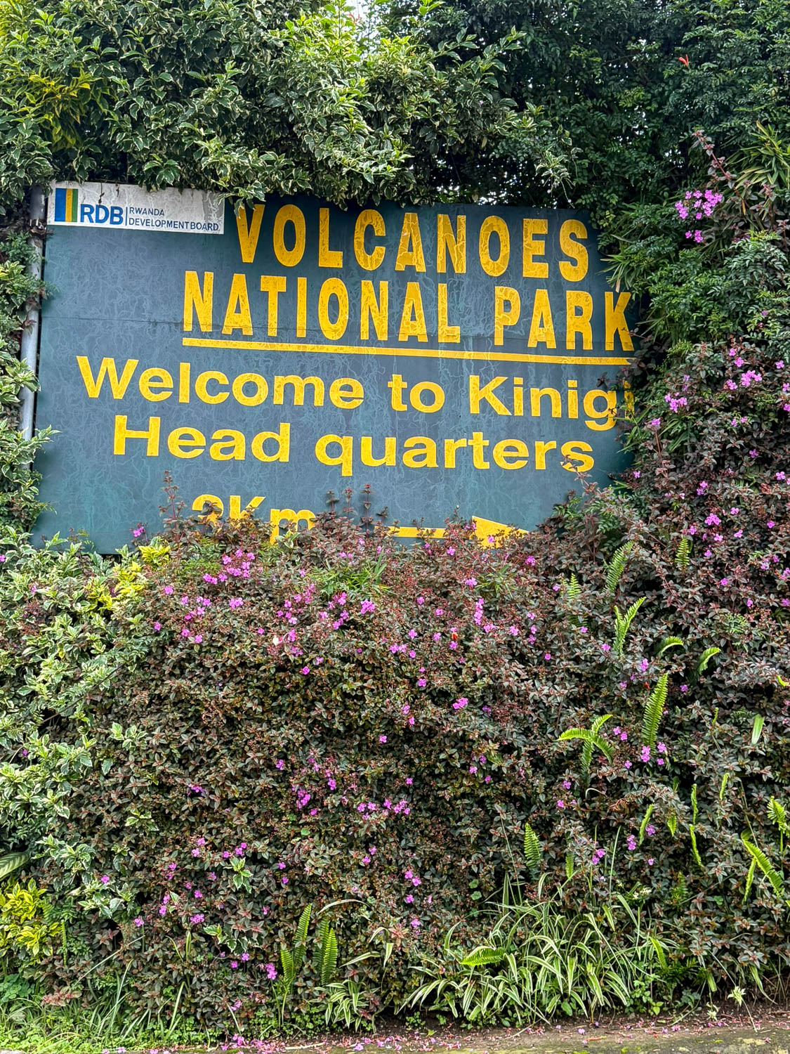 Lake Kivu, Rwanda: Top Things To Do and Travel Guide 24 Volcanoes National Park is nearby Lake Kivu.