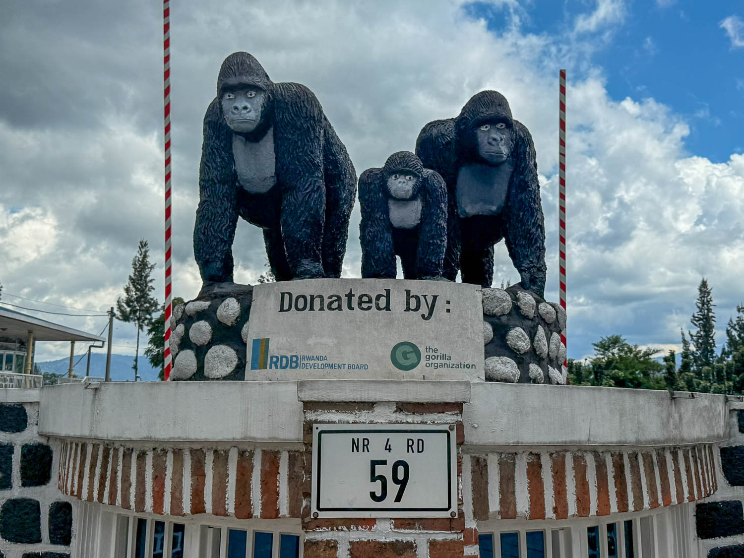 Musanze, Rwanda: Explore the Best Things To Do 25 Gorilla trekking is where it’s at in Musanze Rwanda
