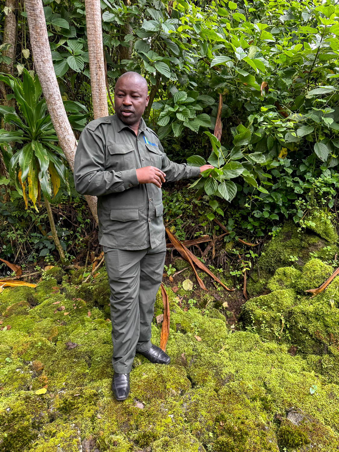 Musanze, Rwanda: Explore the Best Things To Do 17 Our guide at Buhanga Eco Park