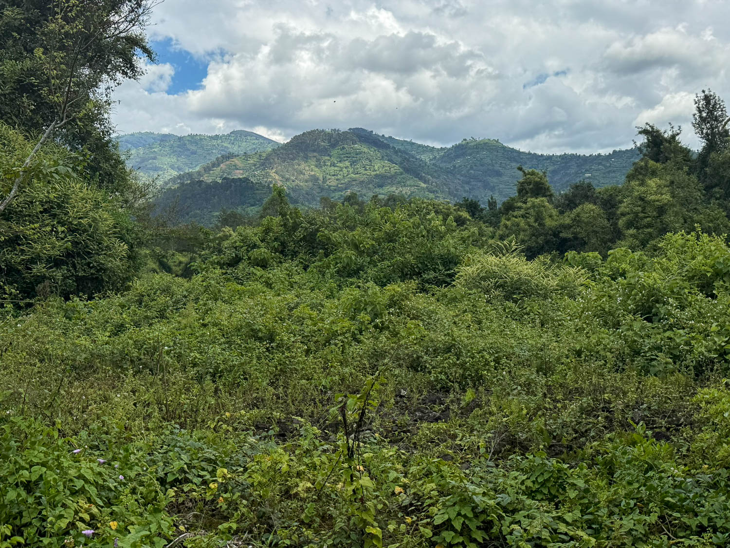 Musanze, Rwanda: Explore the Best Things To Do 15 The rolling hills and volcanoes around Musanze