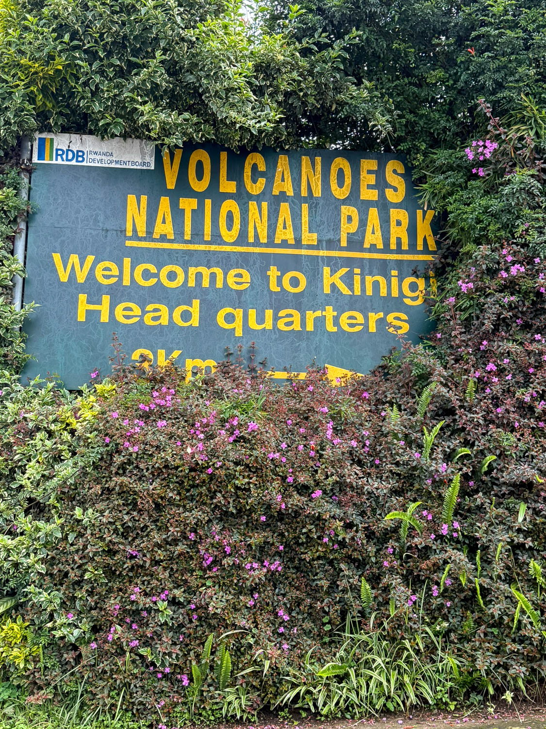 Musanze, Rwanda: Explore the Best Things To Do 14 Volcanoes National Park this way! Musanze, Rwanda