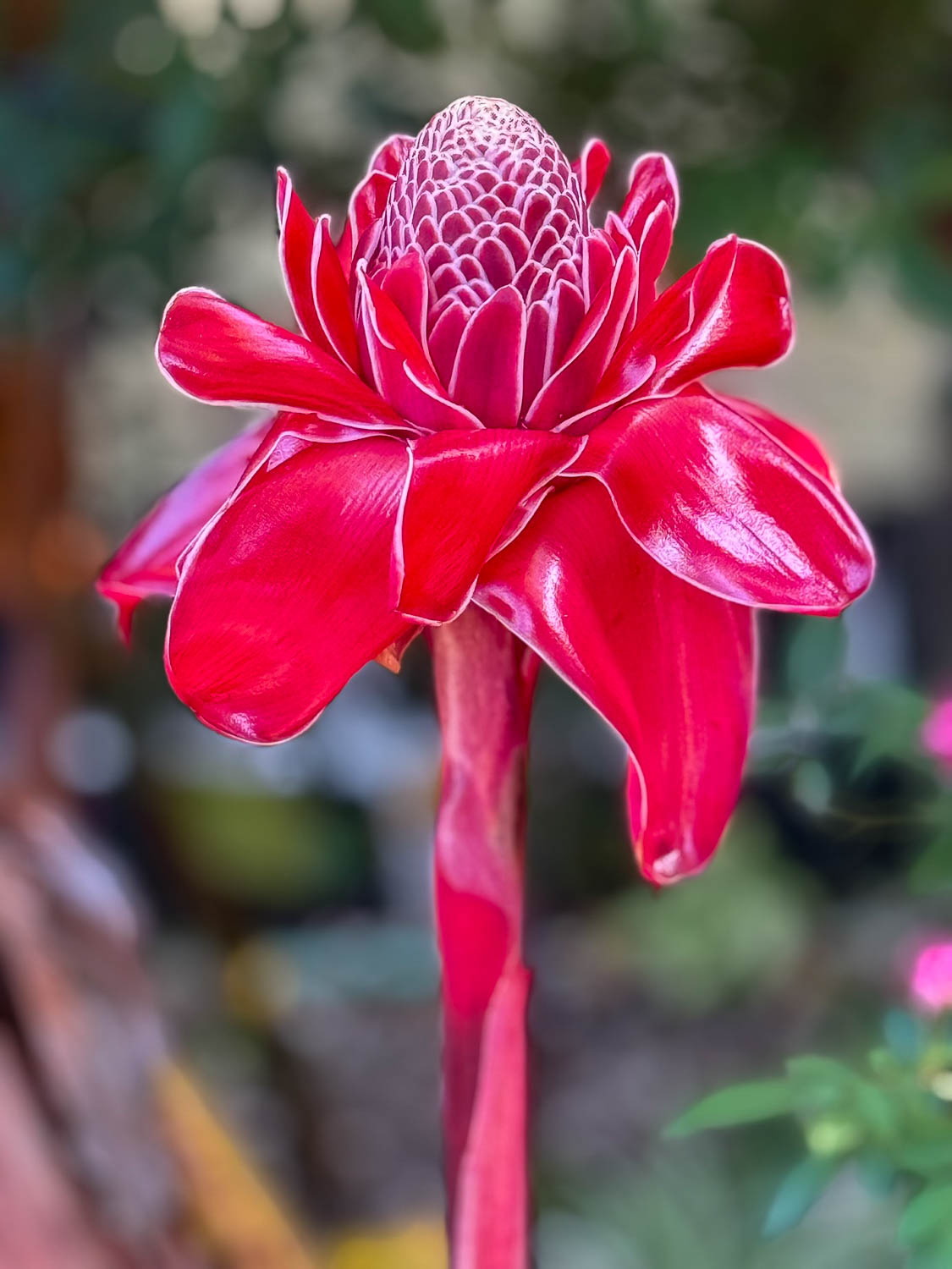 Musanze, Rwanda: Explore the Best Things To Do 16 Opportunities for wildlife photography abound Musanze, Rwanda