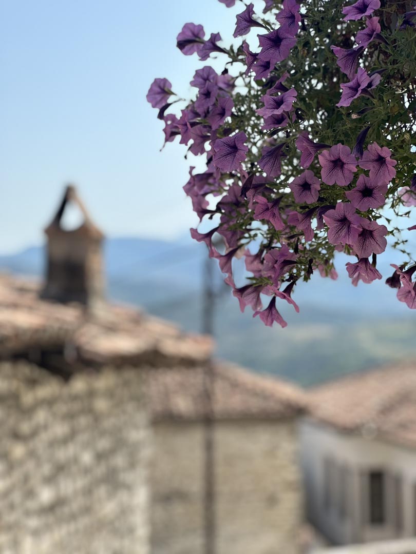 View from  Berat Castle Berat, Albania