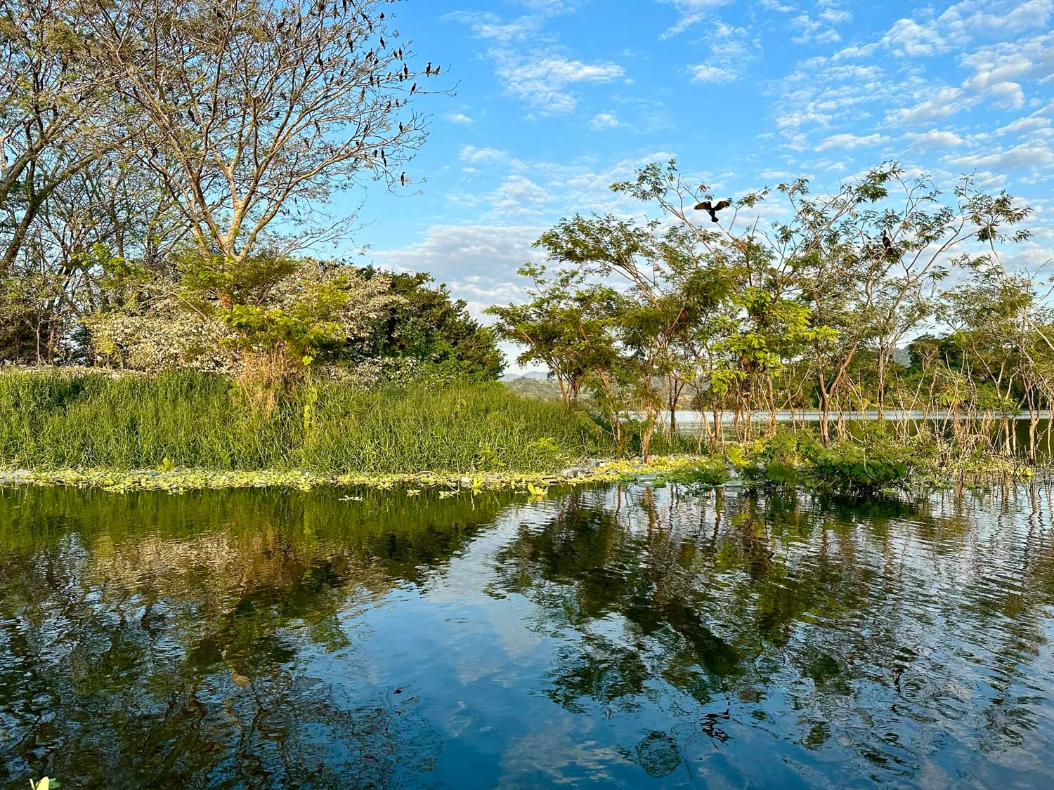 Lago Suchitlán El Salvador