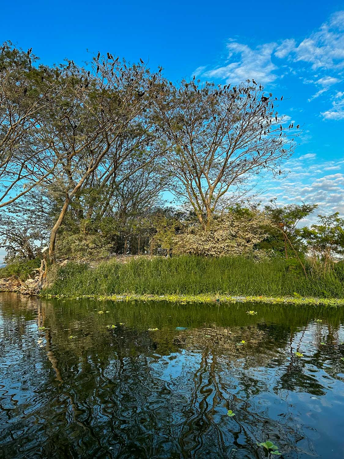 Lake Suchitlan El Salvador