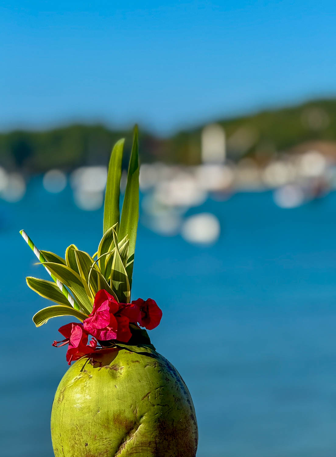 Buzios, Brazil Travel Guide: Best Things To See and Do 35 Peaceful coastal scenery along the shoreline of Buzios, Brazil