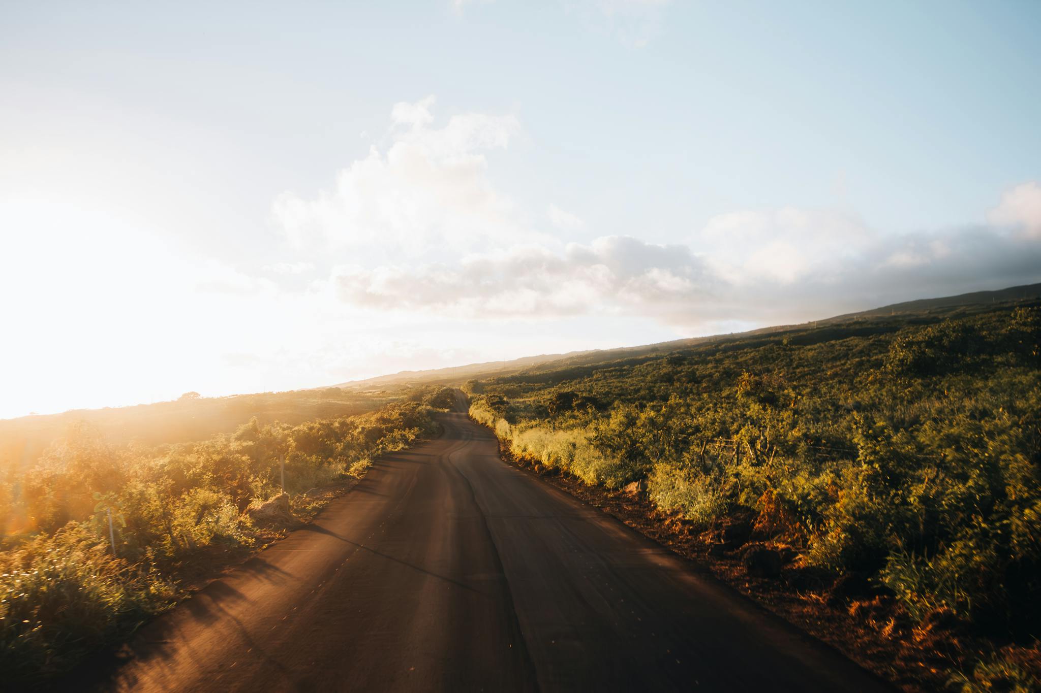 a beautiful road in hawaii with lush