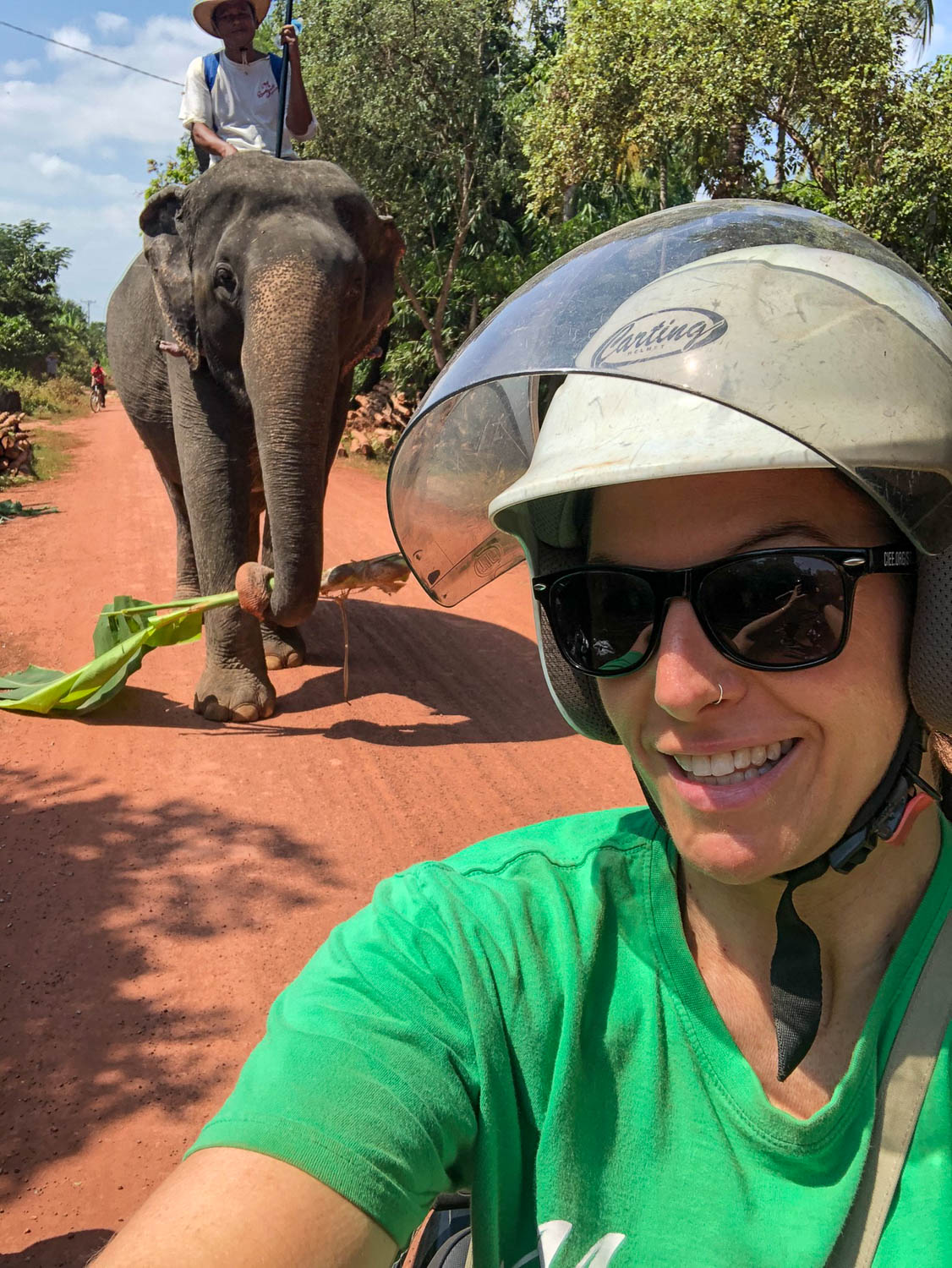 Elephant chasing Beck