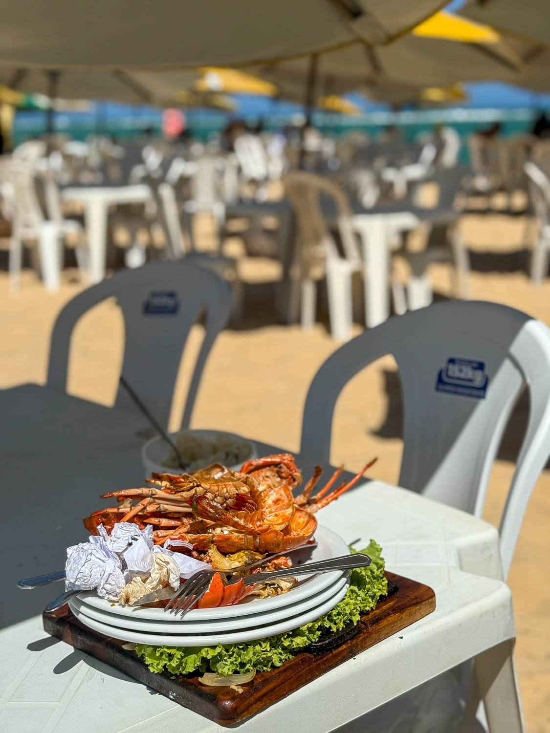 Enjoying food at a beach restaurant at Gunga Beach near Maceio Brazil