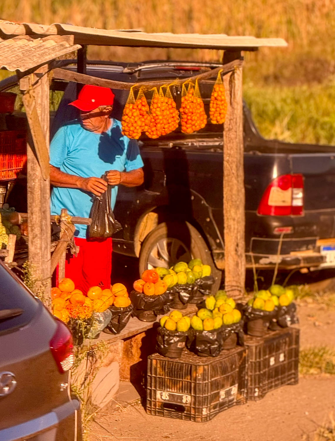 Fresh locally grown ingredients central to Central-West Brazilian cuisine and traditional dishes
